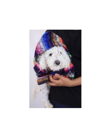 Pet Baja Hoodies Surf Rug Drug Hoodie Poncho