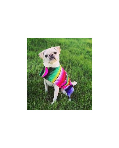 Pet Serape Hoodie Poncho