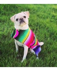 Pet Serape Hoodie Poncho