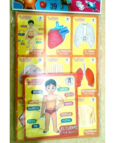 Body Parts Mexican Bingo Game "Loteria"