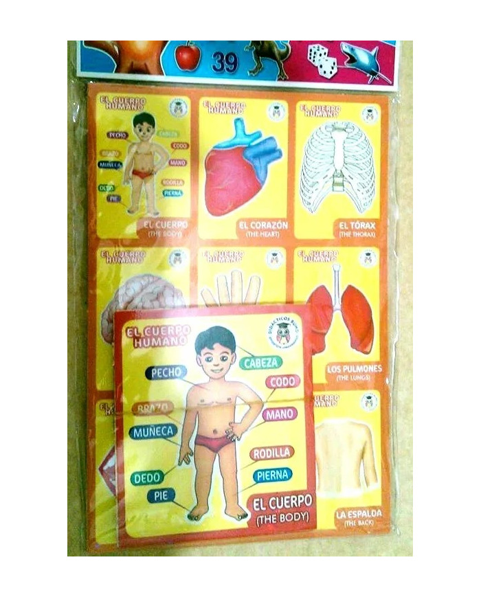 Body Parts Mexican Bingo Game "Loteria"