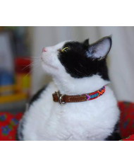 Pet Artisan Leather Collar